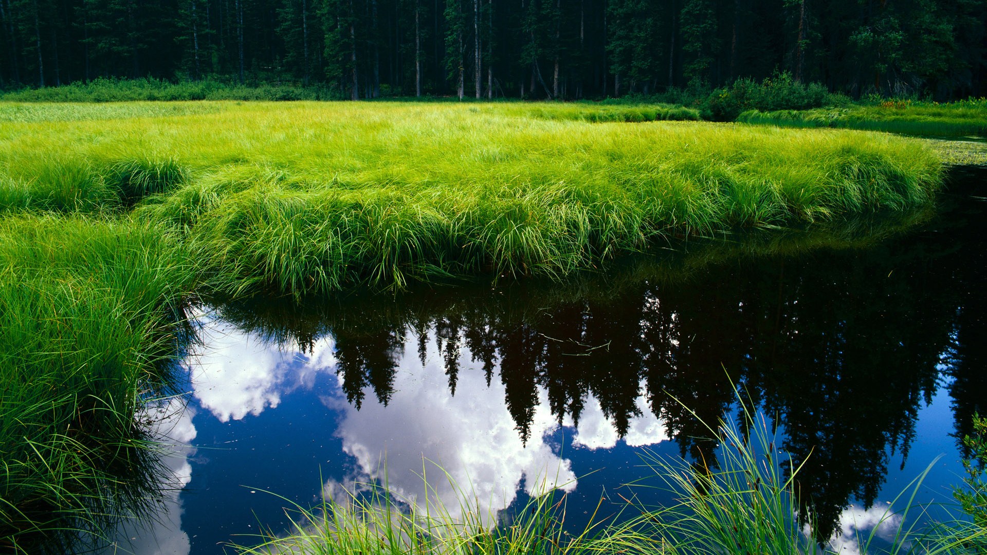 _库里三分神手,再现王牌风采_,库里三分讲解