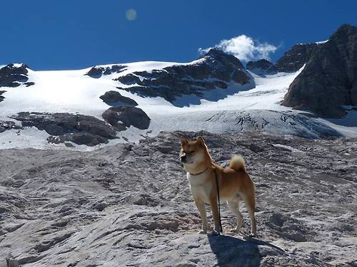 _开场即发难，快船压制对手整场_，快船队内单挑