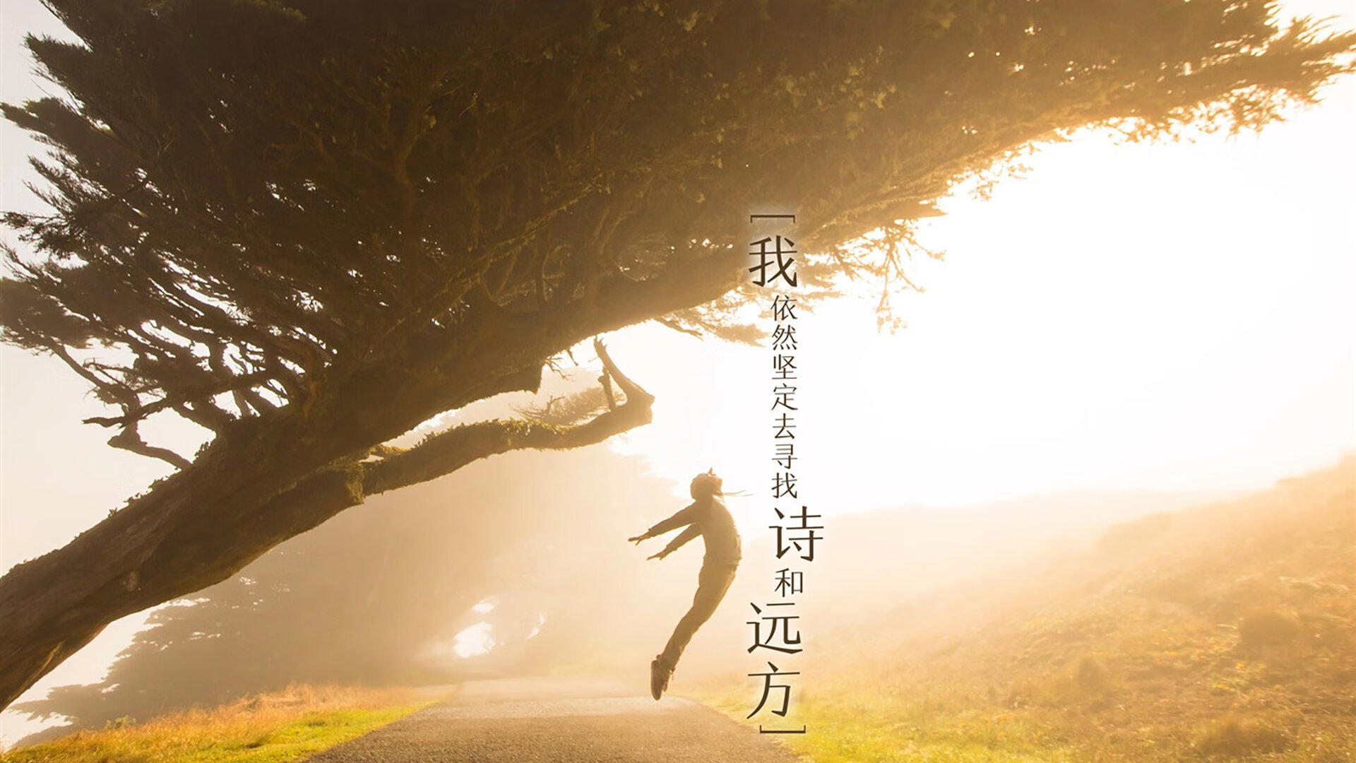 _跨界运动融合：瑜伽与跑步的创新结合_，跑步和瑜伽怎么搭配