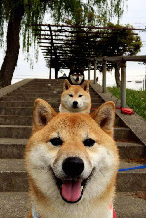 库里关键三分逆转勇士！，库里关键三分视频