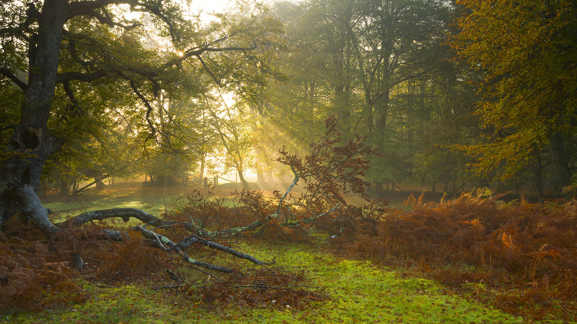 篮球运动在少数民族地区深耕,促进民族团结发展,篮球运动对群众体育的作用