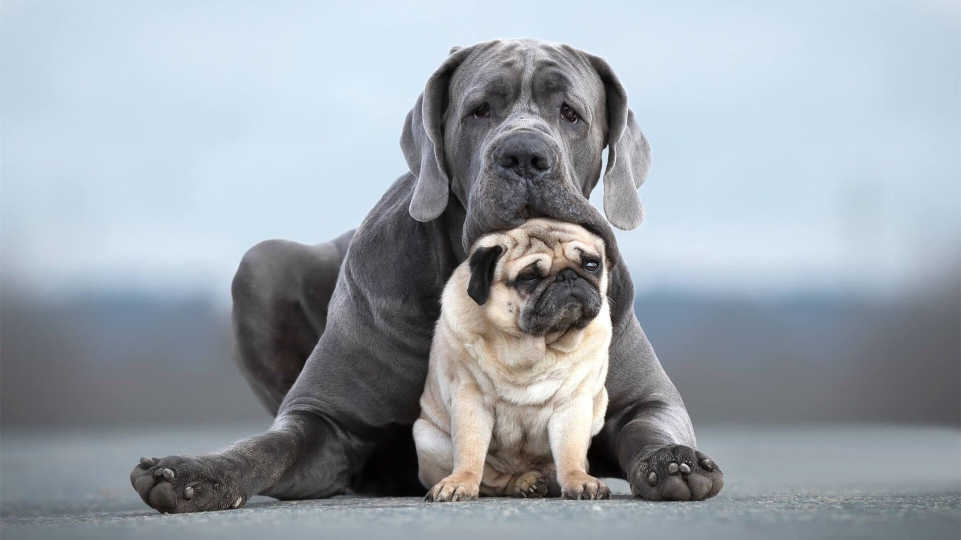 逆境奋战:那些在逆境中创造奇迹的团队,五个在逆境中奋起的事例