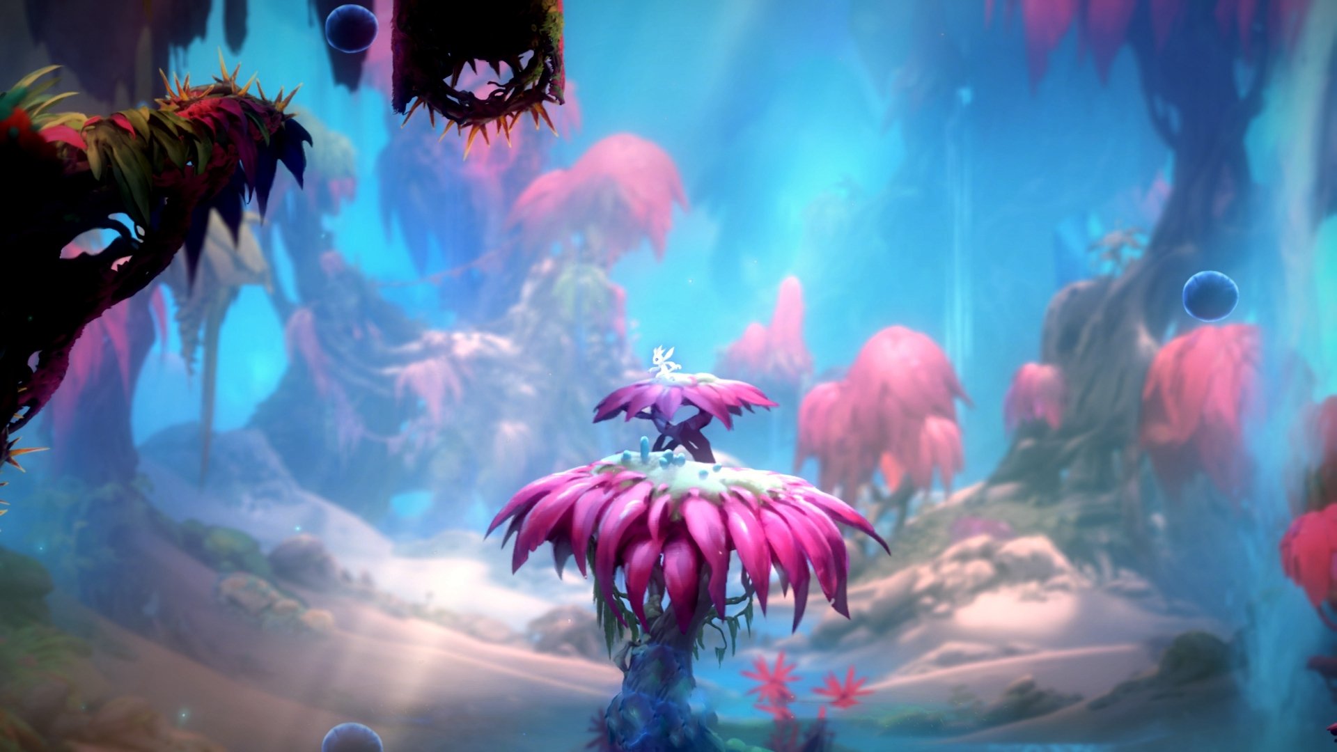 CBA球队新帅上任,振兴球队成为首要任务,cba球队球员资料