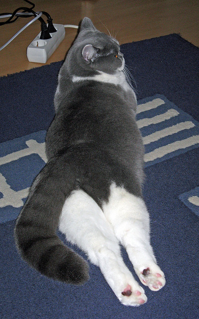 塞内加尔队后卫佩雷斯在巴黎奥运会上表现出色,塞内加尔主帅