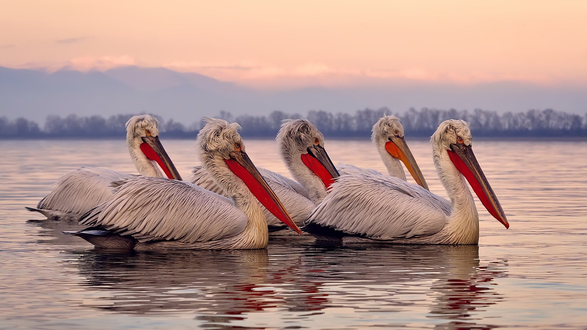 女足比赛观众人数增加，关注度提升，女足比赛有什么观赏性