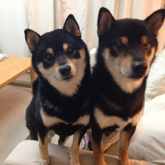 米尔顿凯恩斯防守稳健,马林斯军团全力保级,米尔顿凯恩斯斯诺克