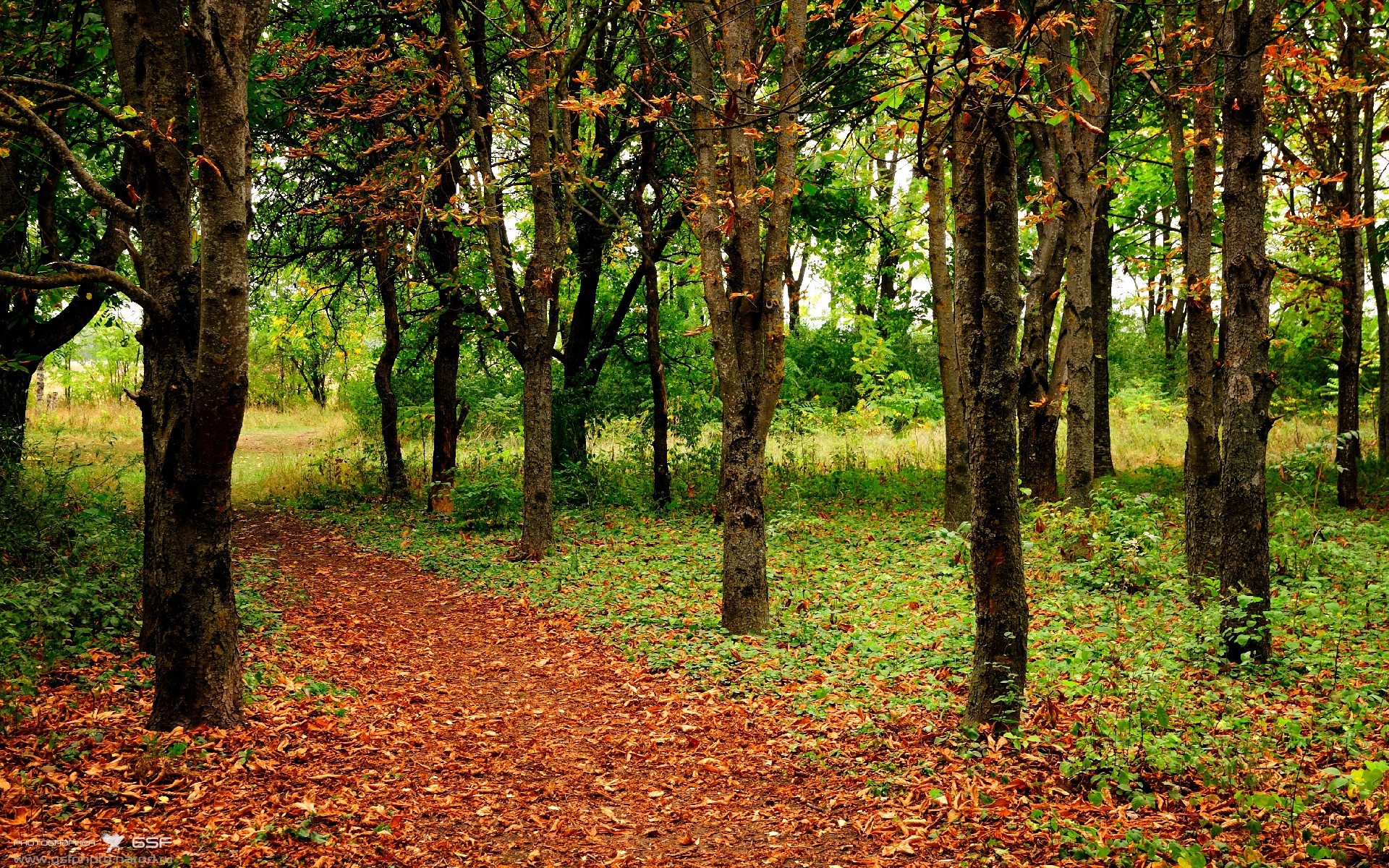 米德尔斯堡客场挫败，保级形势雪上加霜，米德尔斯堡地理位置