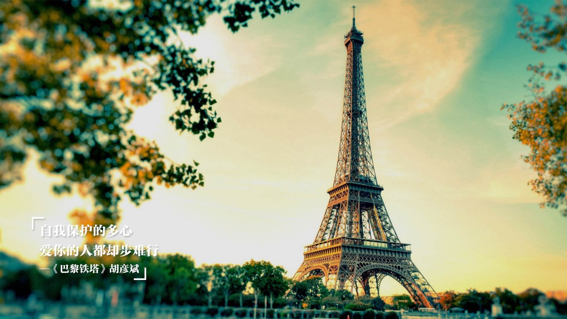 NBA赛季助攻王争夺情况，nba本赛季助攻王