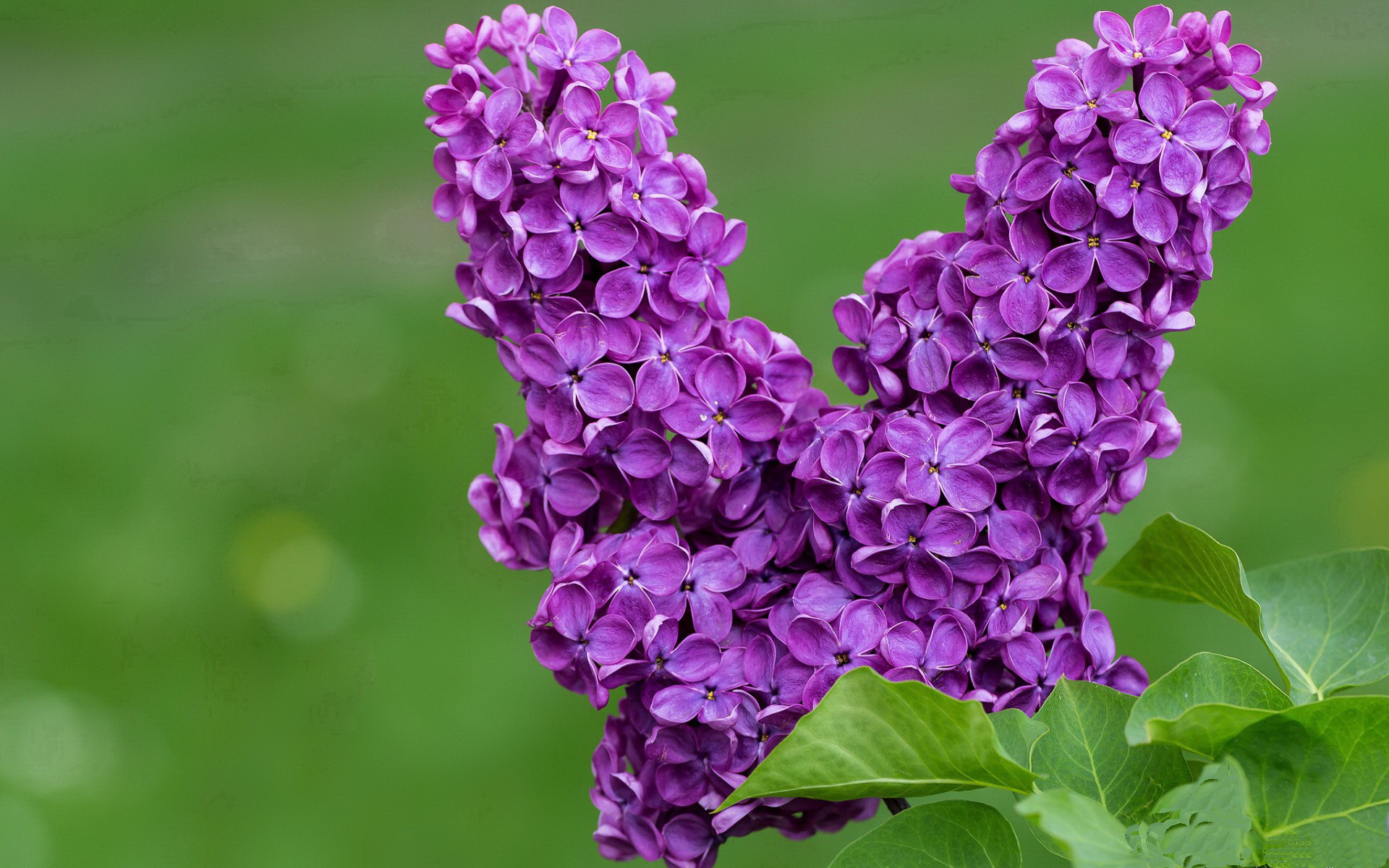 青少年体育社交平台用户行为分析,青少年体育市场