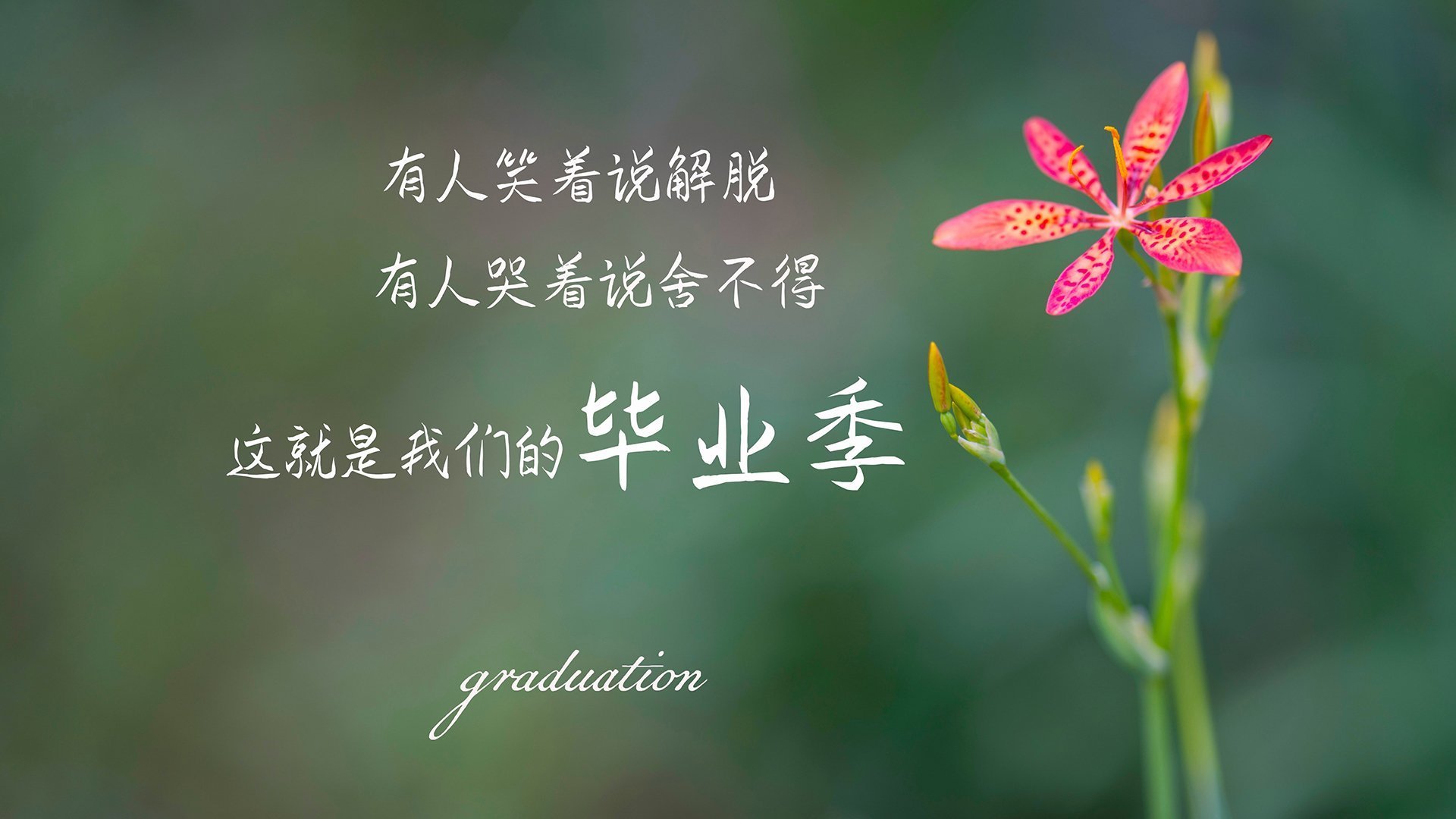 全运会加入短视频挑战活动拓展传播渠道，全运会媒体