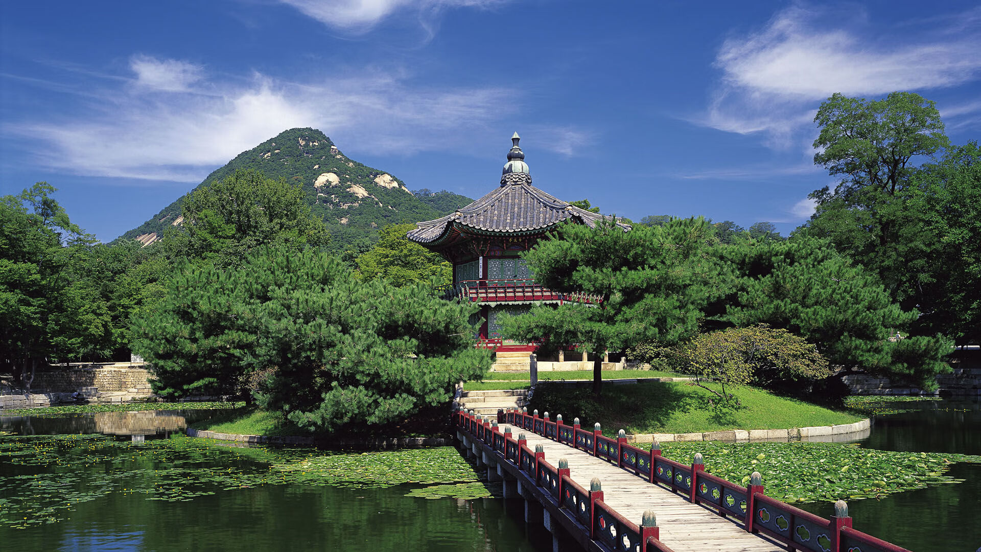 德国队迎战国际乒联混合团体世界杯：赛制影响及战术策略，德国乒乓球赛程