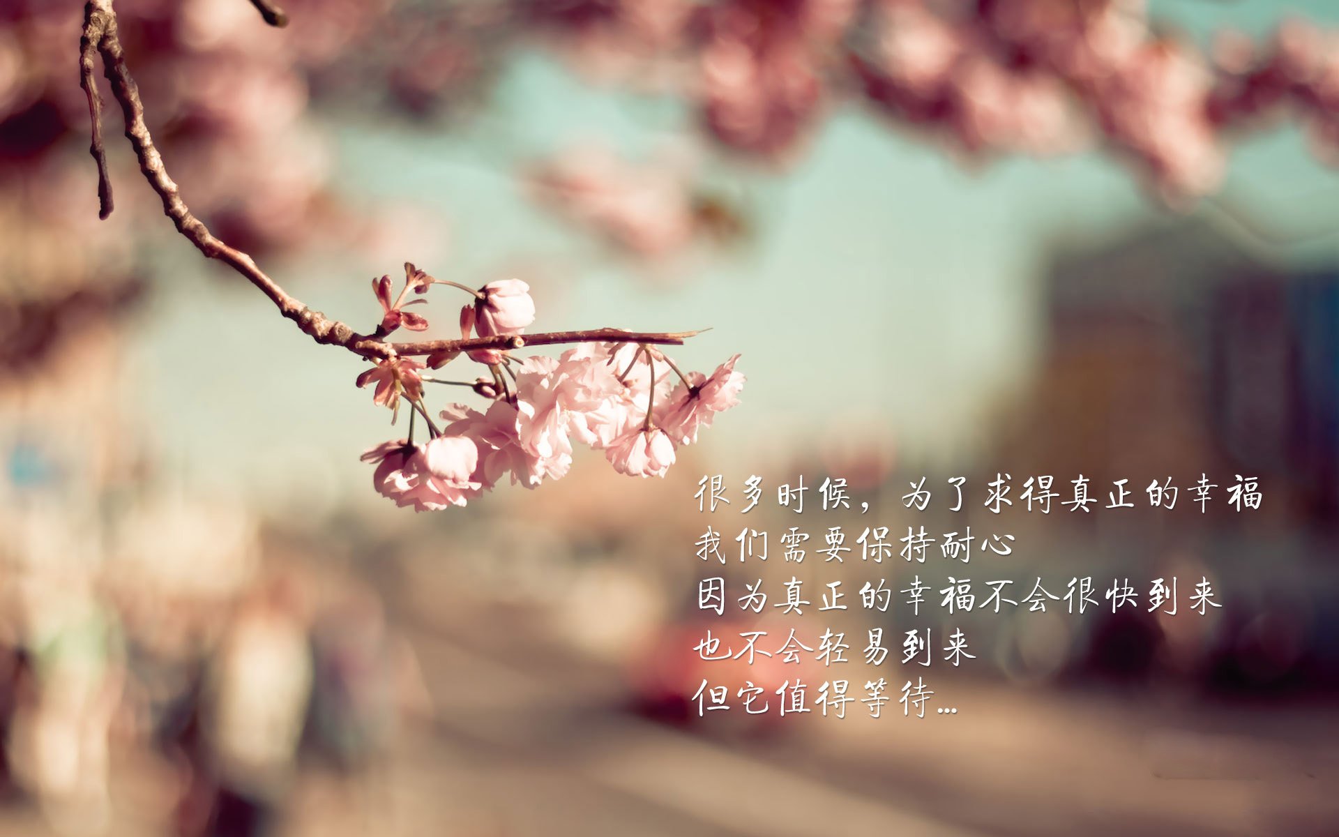 新疆男篮主场气氛热烈成为联盟焦点球馆,新疆男篮最新名单和球队号码