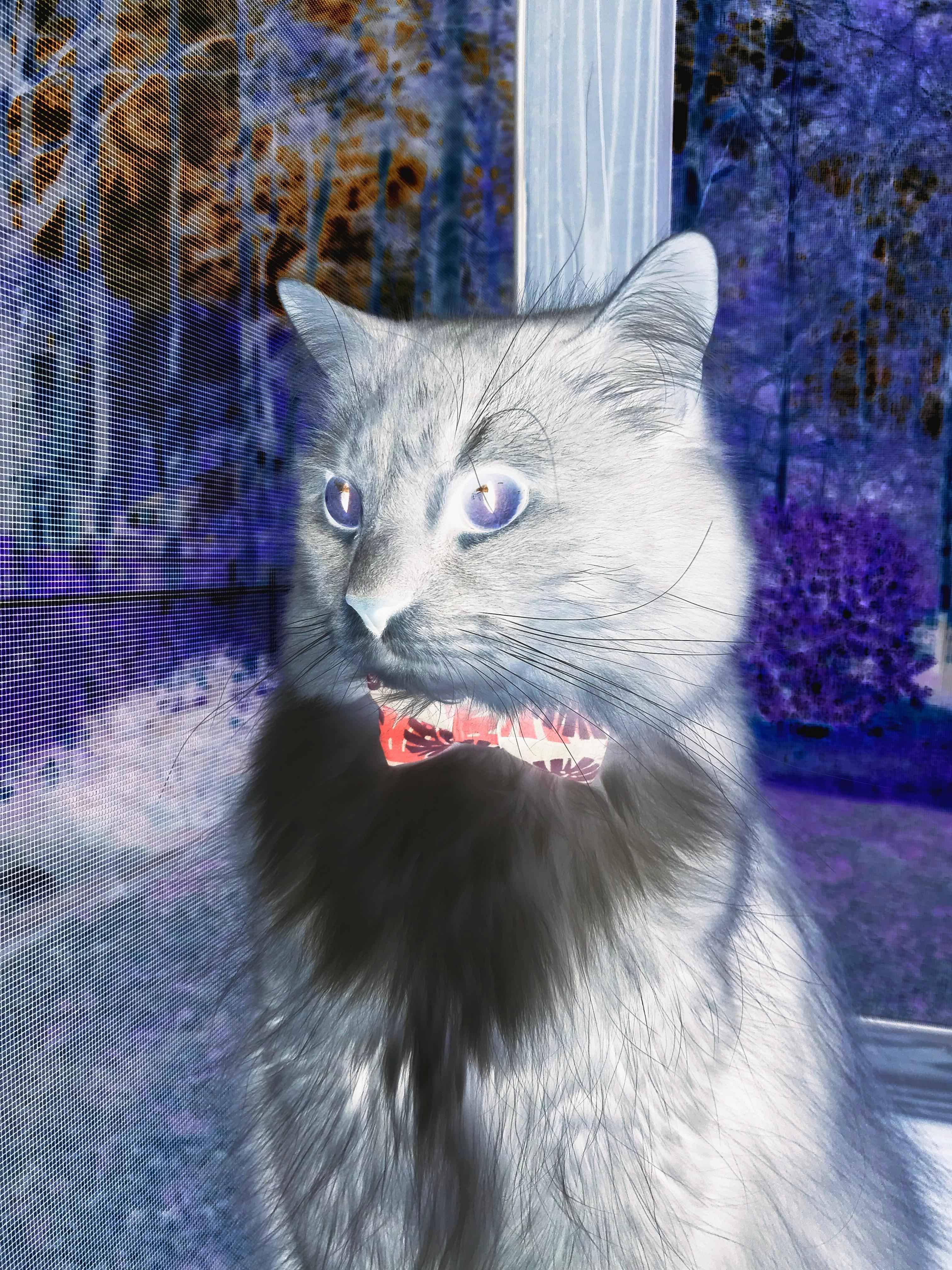 赛事主视觉设计融合地方元素，大型运动赛事的视觉元素设计如何与地域文化相结合