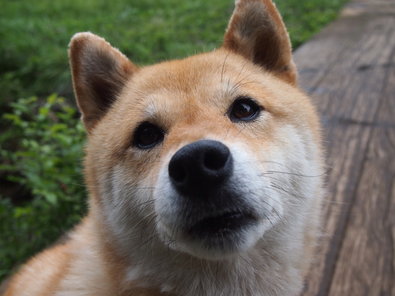 卡普尔通过强力冲击，打破对手防线，创造进攻机会，卡普尔是什么种姓