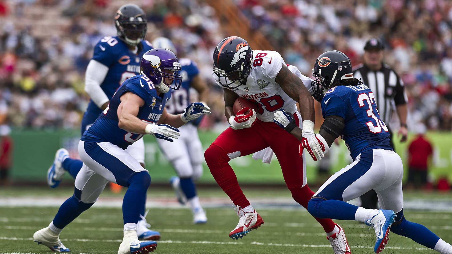 蝶泳赛道 阿莱克西强势出击