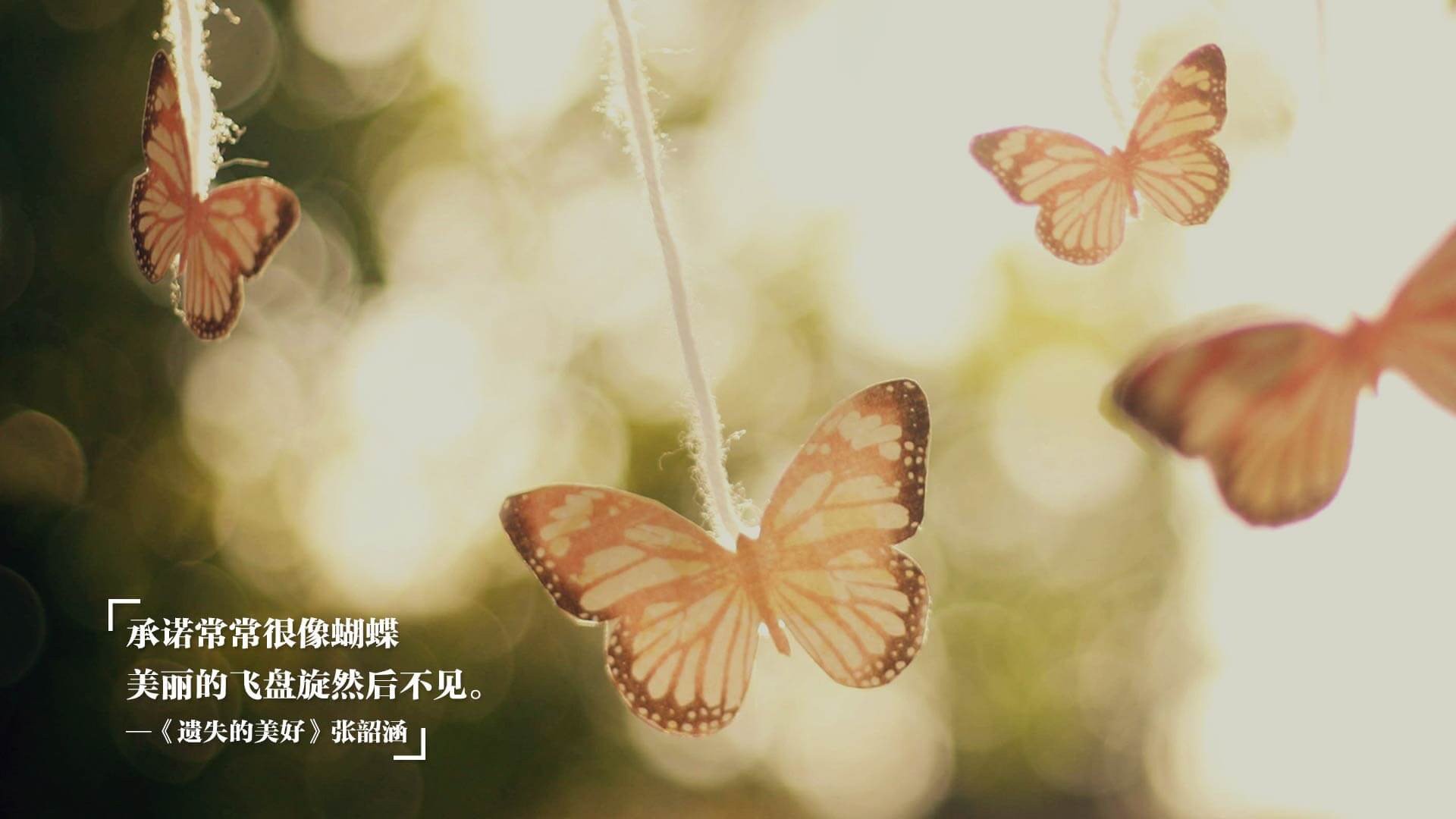 马尔尚决赛表现赢得媒体好评,马尔尚决赛表现赢得媒体好评的句子